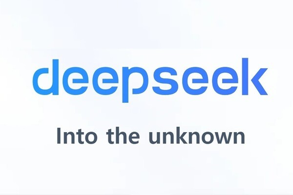 딥시크 로고(사진=딥시크 공식 웹사이트 캡처)