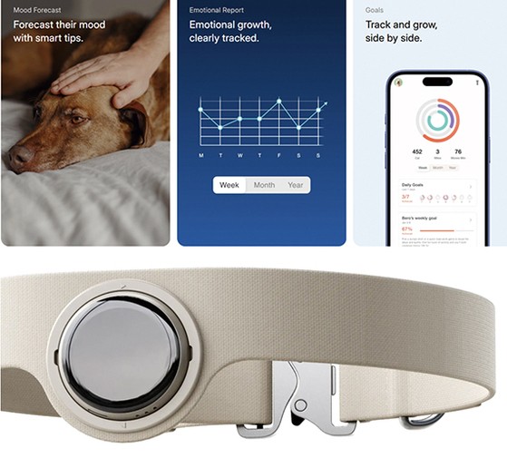 반려견 감정을 아바타로 시각화한 베로AI의 ‘시딜스(SDils) AI’. 