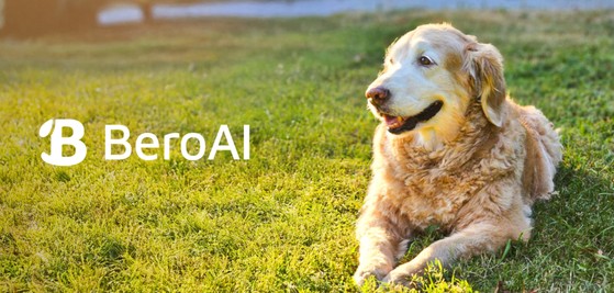 반려견 관련 AI 스타트업 베로AI(BeroAI)  사진=BeroAI