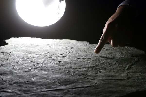 2022년 허민 당시 전남대 교수(지구환경과학부·한국공룡연구센터장) 연구팀이 발견한 익룡 발자국 화석 표본  사진=연합뉴스