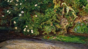 수풀 옆 갈색의 나뭇가지 사이로 보이는 해골