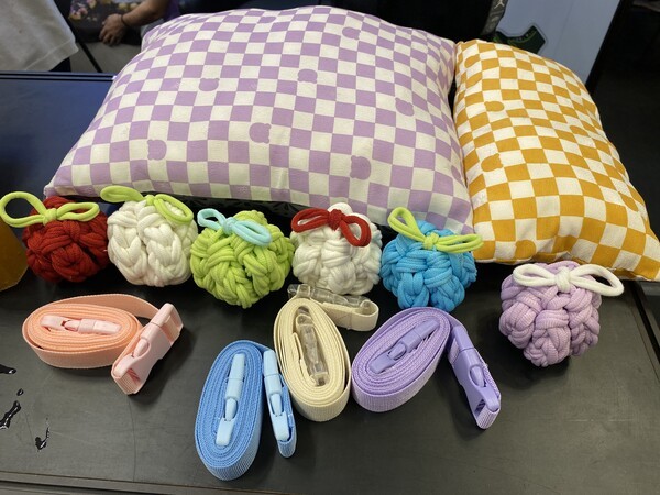 경북자연과학고등학교 펫미인, 업사이클링 반려동물 용품