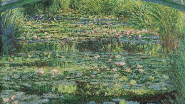 아름답게 묘사된  수련과 연못