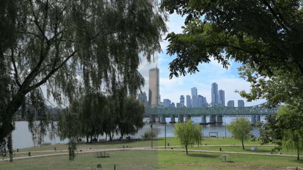 Nikon의 '이미징 레시피' 왼쪽이 적용 전, 오른쪽이 적용 후   [사진]  Nikon