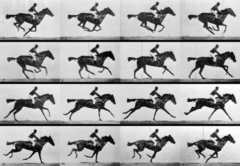 Edward Muybridge - 달리는 말