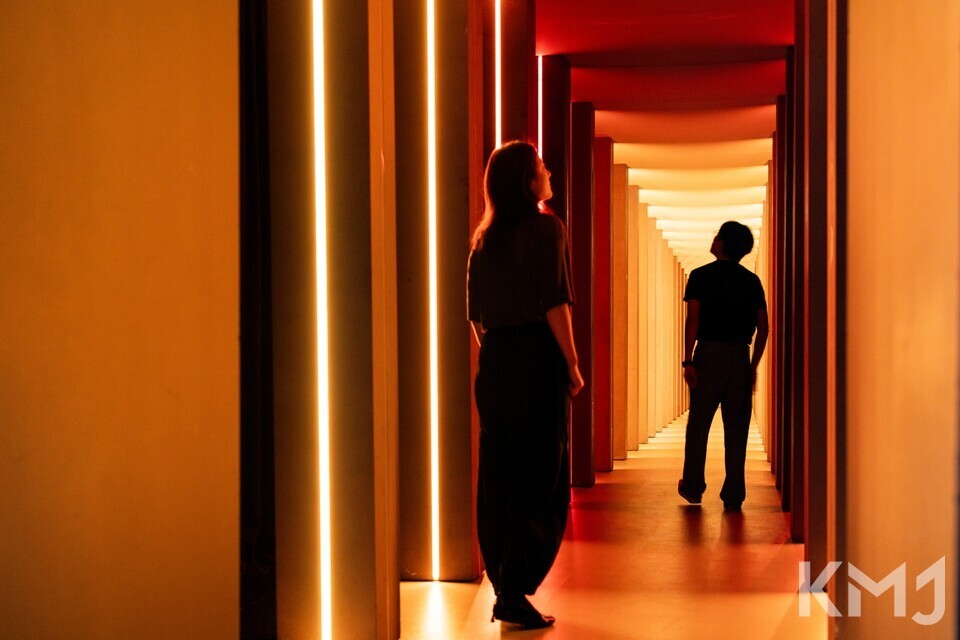 디스트릭트 제공