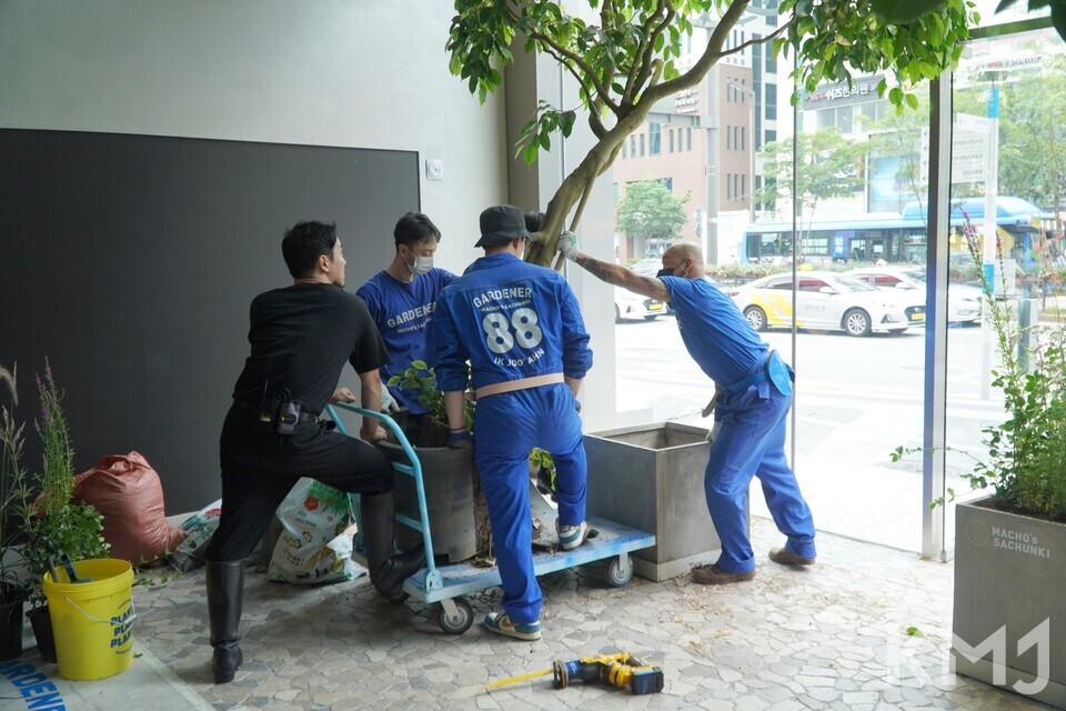 출처: 마초의사춘기 | 가드너(크루)