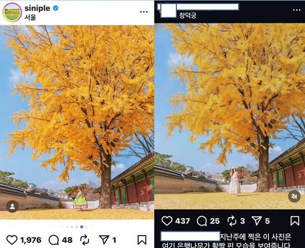 박재신 작가의 원본 사진(왼쪽)과 도용한 사진이 올라온 SNS. 사진=해당 SNS 캡처