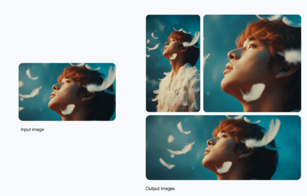 By adjusting the aspect ratio, the image can be optimized for a wide range of platforms.