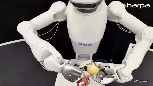 A Humanoid That Can Peel an Apple? Sharpa Robotics Unveils Breakthrough ...